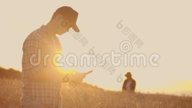 <strong>两</strong>个农民，一个男人和一个女人，期待着日落越过一片麦田。 农业综合<strong>企业</strong>的团队合作。